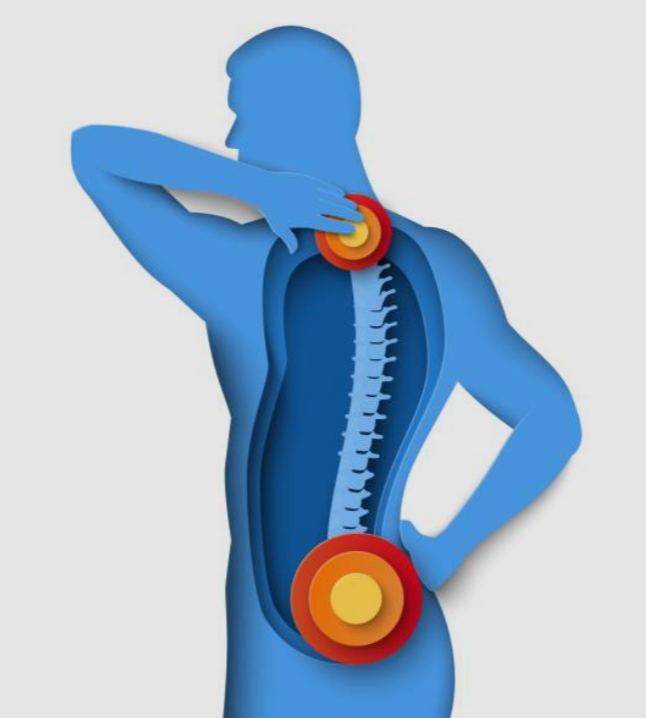 Unisex Posture Correction Back Brace